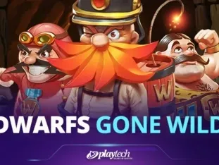 Dwarfs Gone Wild game thumbnail